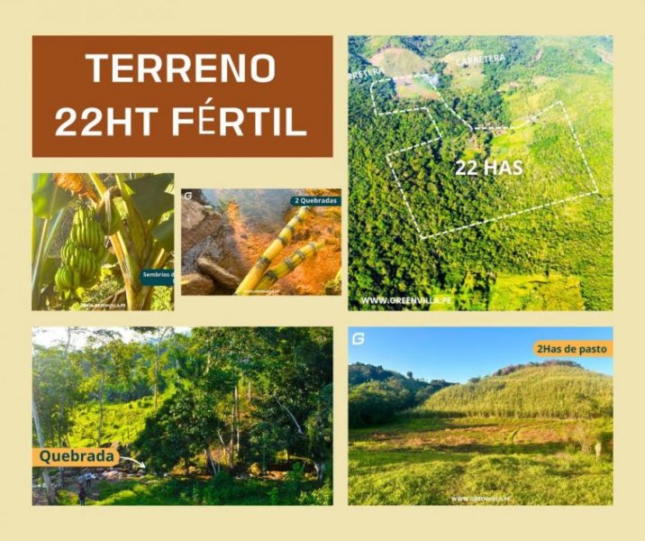 Foto Terreno en Venta en Tarapoto, San Martin - S/. 620.000 - TEV40538 - BienesOnLine