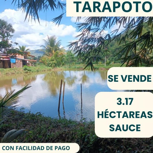 Terreno en Venta en  Lamas, Lamas