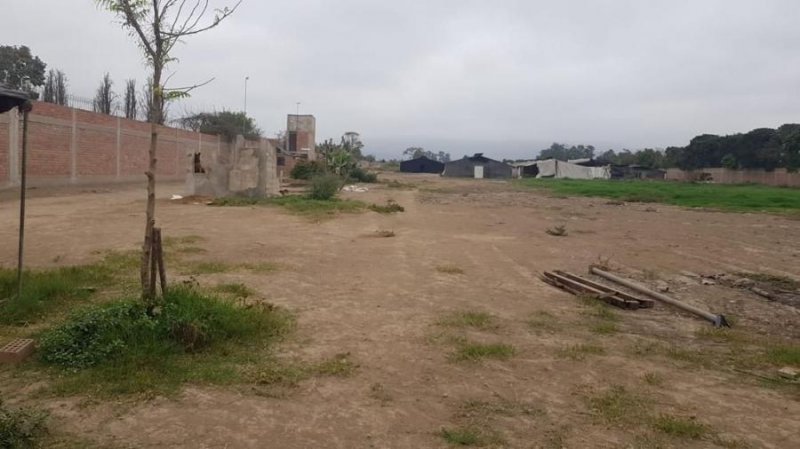 Terreno de 2 hectareas en Pachacamac