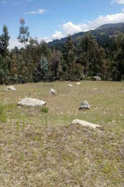 Foto Terreno en Venta en independencia, Huanchay
Independencia, Huaraz - S/. 160.000 - TEV14570 - BienesOnLine