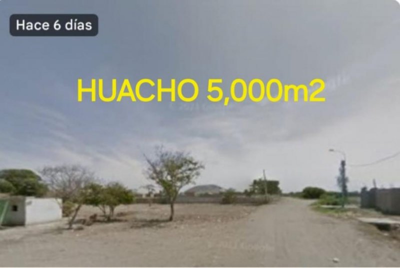 Agricola en Venta en Huaura Huacho, Huaral